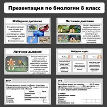 Презентация по биологии «Дыхание животных»