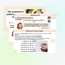 Презентация «Как устроены и работают органы чувств».