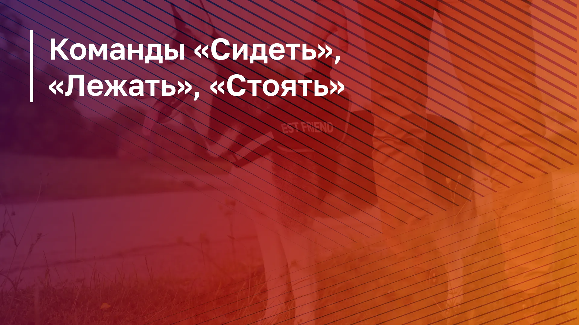 Обложка курса