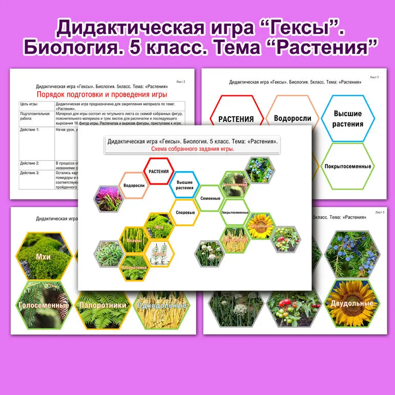 Дидактическая игра 