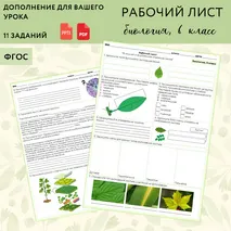 «Внешнее и внутреннее строение листа», 6 класс