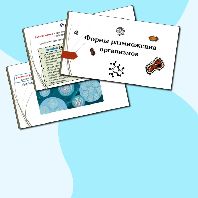 Презентация по биологии 