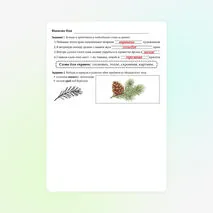 Конспект урока №32 