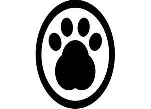 Picture background