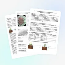 Лабораторная работа «Изучение строения корневых систем и микропрепарата клеток корня»