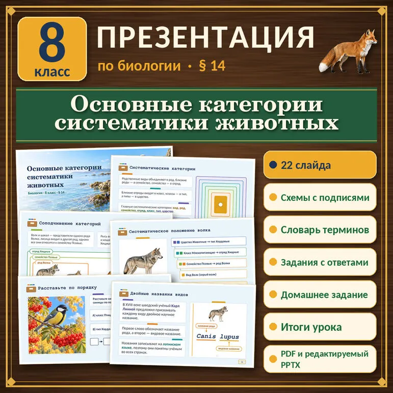 Презентация по биологии «Основные категории систематики животных», 8 класс, § 14 (по В. В. Пасечнику)
