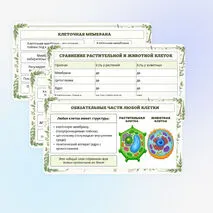 Презентация по биологии «Растительная клетка, её изучение»