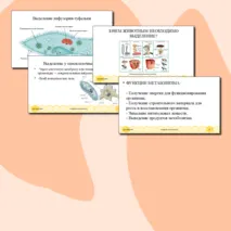 Презентация для урока по биологии 8 класс 