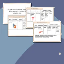 Презентация к уроку биологии 