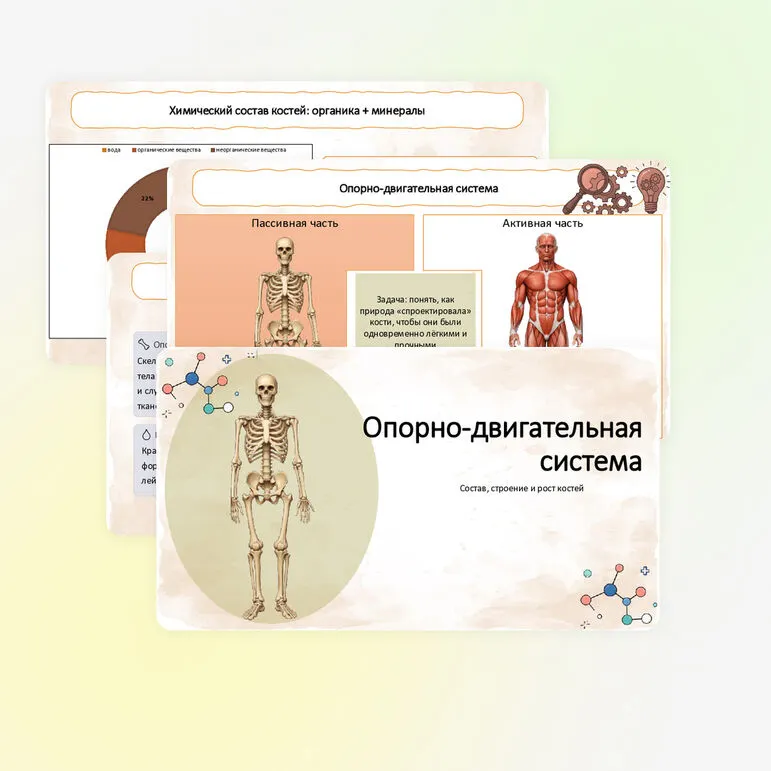 Презентация 
