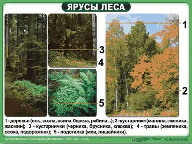 https://docs.google.com/viewer?url=http%3A%2F%2Fnsportal.ru%2Fsites%2Fdefault%2Ffiles%2F2014%2F05%2F18%2Ftablitsy_po_okr._miru.ppt&docid=705950a2970a114588092457583edfff&a=bi&pagenumber=28&w=524