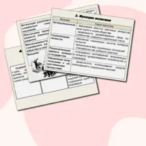Презентация по обществознанию на тему 