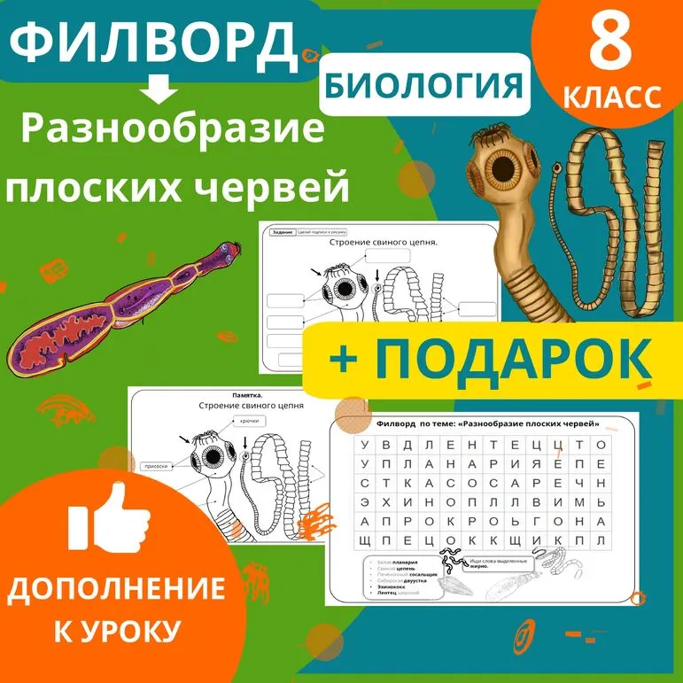 Филворд по биологии на тему: 