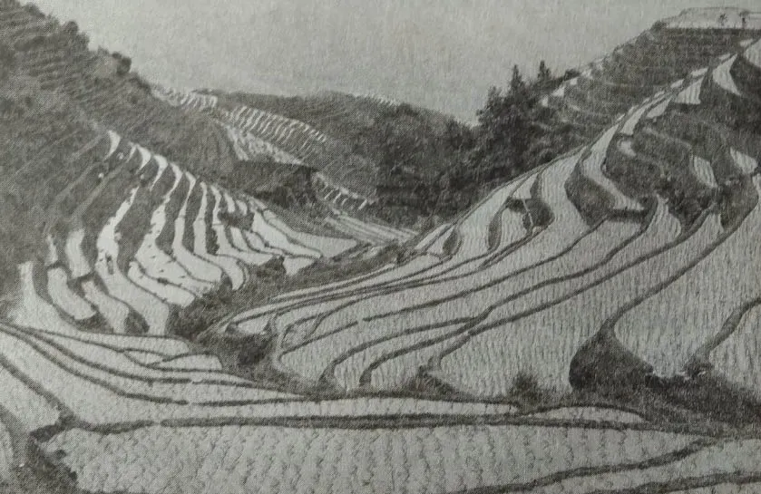 http://xn--80aaasqmjacq0cd6n.xn--p1ai/public/694.jpg