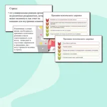 Презентация по ОБЗР 