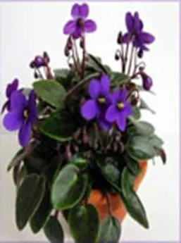 http://doshvozrast.ru/images/roditeli08/image003.jpg