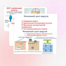 Презентация по биологии 
