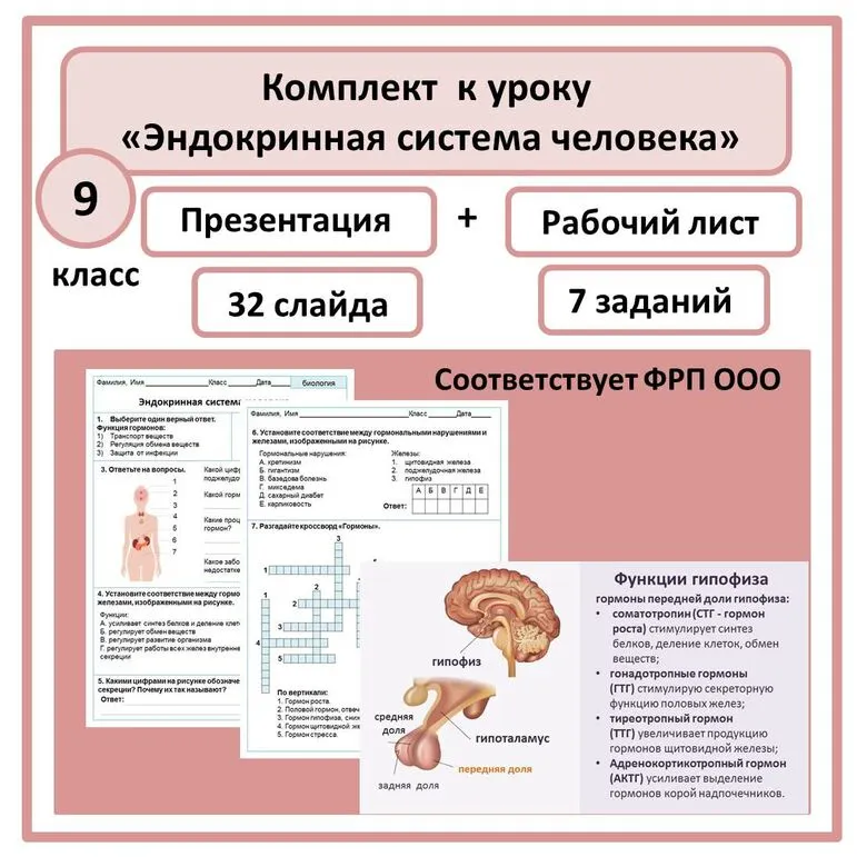 Комплект по биологии 