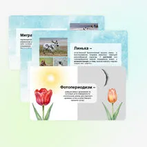 Презентация по биологии 5 класс: «Сезонные изменения в жизни организмов»