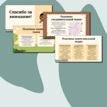 Презентации по биологии на тему:«Классификация тканей животных и растений»