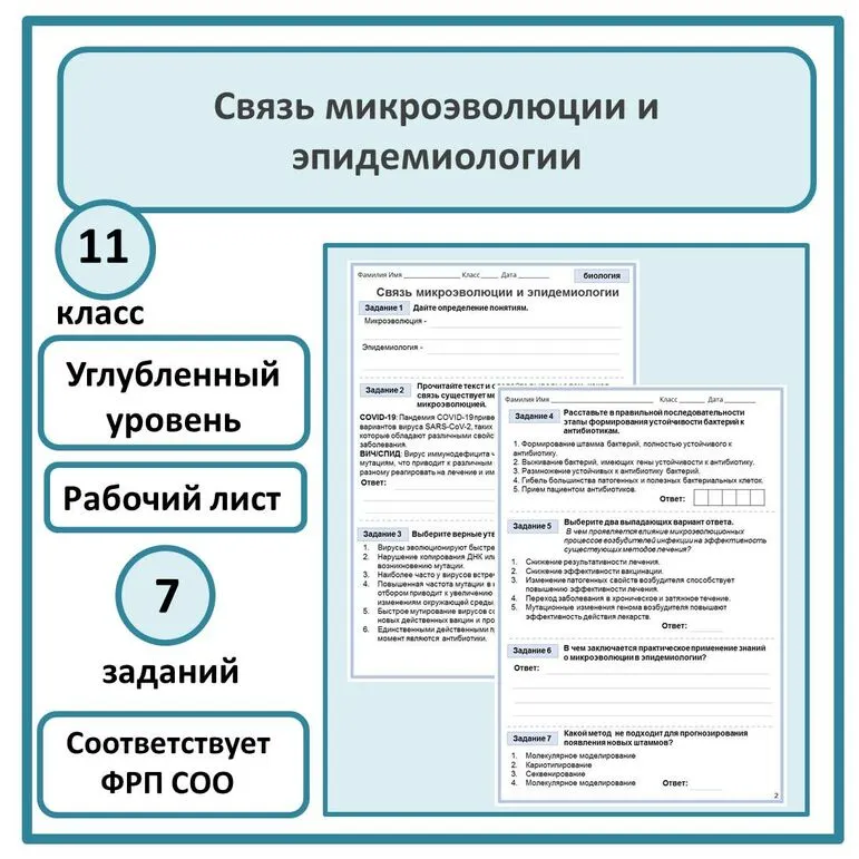 Рабочий лист по биологии 