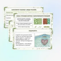 Презентация по биологии «Растительные ткани, их функции»