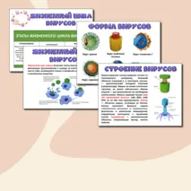 Презентация «Вирусы - неклеточная форма жизни». Биология 10 класс.