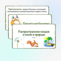 Презентация «Распространение плодов и семян в природе», 6 класс