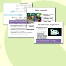 Презентация Описание результатов исследований 5 класс