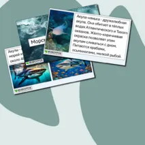Презентация «Морские обитатели. Акулы»