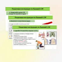 Презентация «Оказание первой помощи при отсутствии сознания, остановке дыхания и кровообращения»