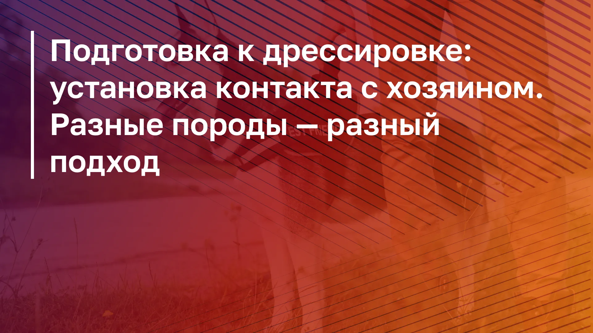 Обложка курса