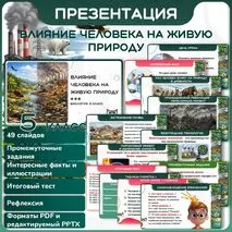Презентация 