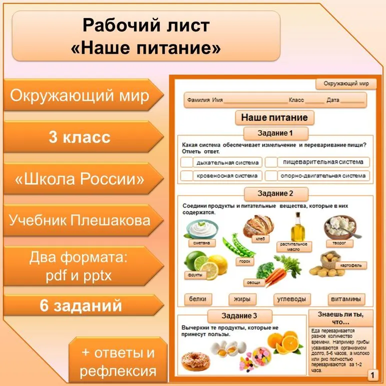Рабочий лист по теме 