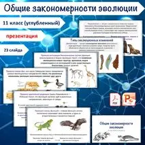 Презентация «Общие закономерности эволюции», 11 класс (углубленный уровень)