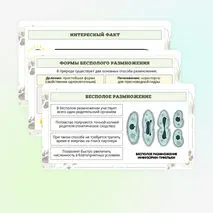 Презентация по биологии «Формы размножения животных»