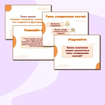 Презентация и раздаточный материал к уроку 
