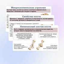 Презентация по биологии (9 класс) 