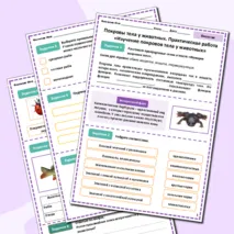 Комплект (презентация + рабочий лист) «Покровы тела животных. Практическая работа «Изучение покровов тела у животных» 8 класс