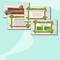 Виды и свойства конструкционных материалов. Древесина