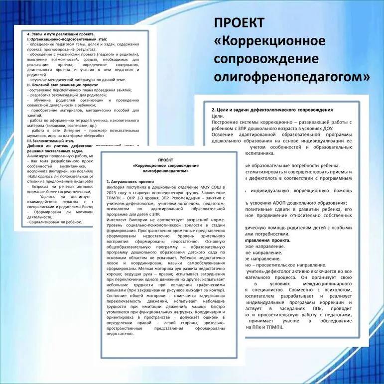 Приложение 3 Проект 