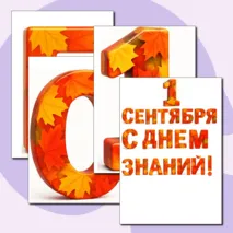 Оформление 