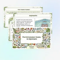 Презентация по биологии «Растительные ткани, их функции»