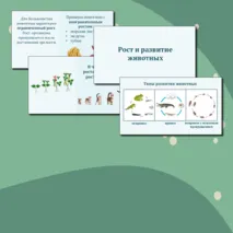 Презентация по биологии 