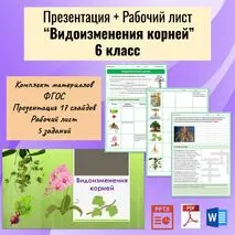 Комплект материалов для урока биологии 