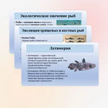 Презентация по биологии «Хрящевые и костные рыбы» 8 класс