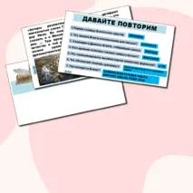 Презентация по истории Древнего мира на тему 