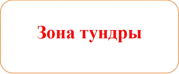 Зона тундры

