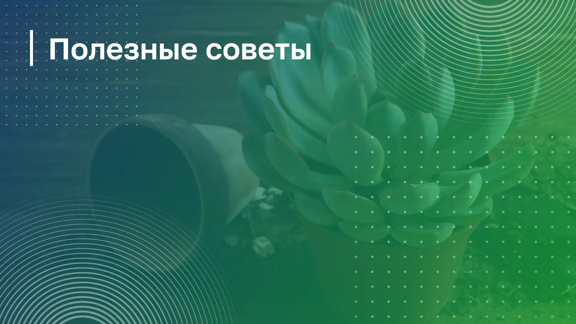 Обложка курса