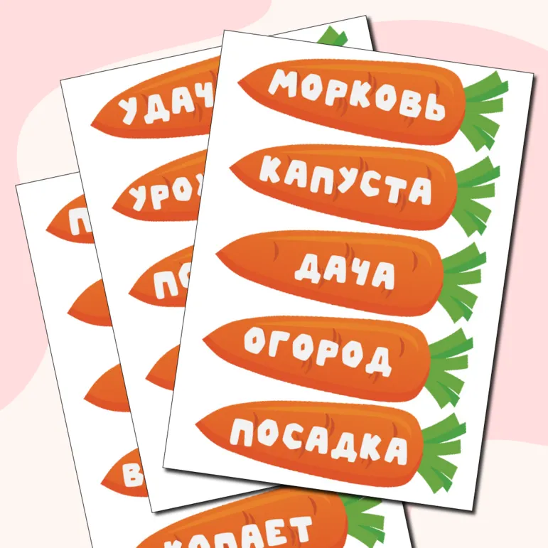 Дидактическая игра 